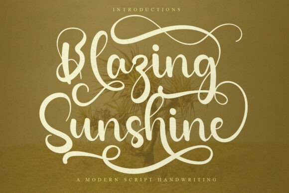 Blazing Sunshine: A Script Handwritten Font for Web Design