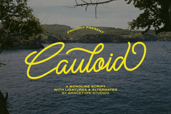 Cauloid: The Script Font for Effortless Branding
