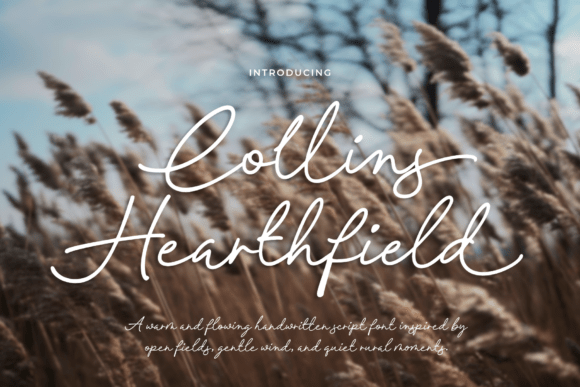 Collins Hearthfield: A Warm Script Font for Branding