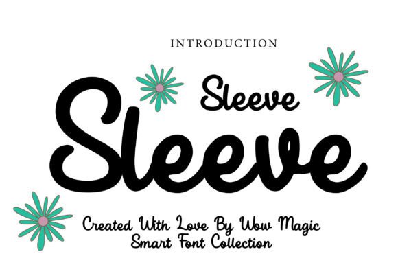 Sleeve Script Font for Elegant Maker Branding